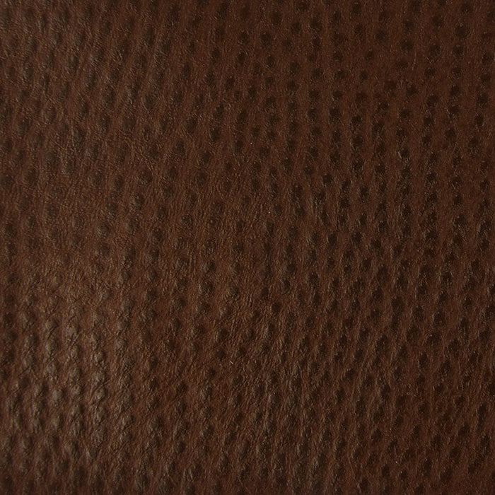 Kravet Contract Belus 6 Fabric Sample BELUS.6.0