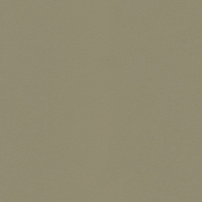 Kravet Contract Berta 11 Fabric Sample BERTA.11.0