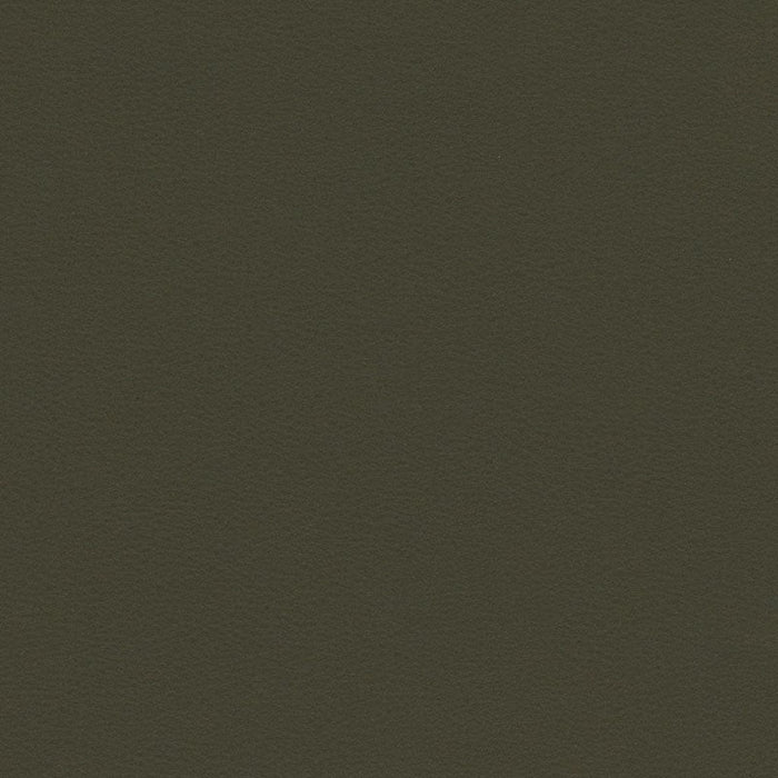 Kravet Contract Berta 21 Fabric Sample BERTA.21.0
