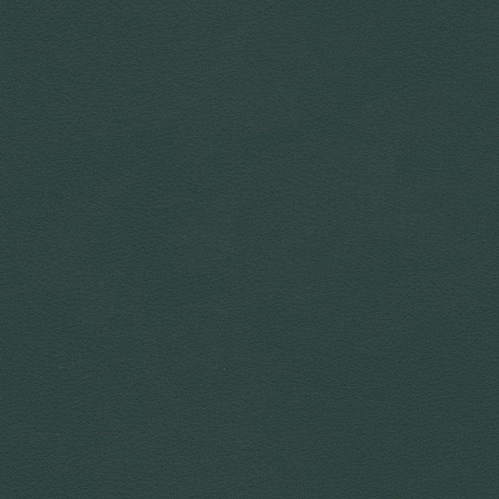 Kravet Contract Berta 5 Fabric BERTA.5.0