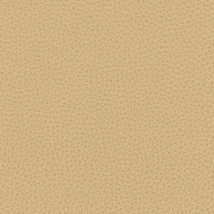 Kravet Contract Bess 16 Fabric Sample BESS.16.0