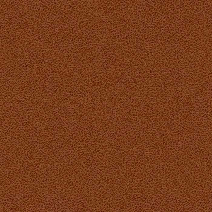 Kravet Contract Bess 24 Fabric Sample BESS.24.0