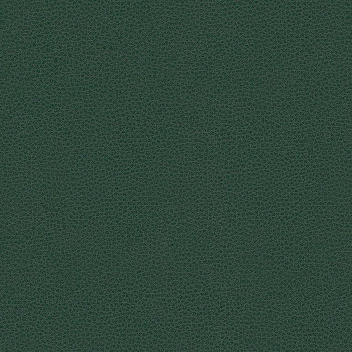 Kravet Contract Bess 5 Fabric BESS.5.0