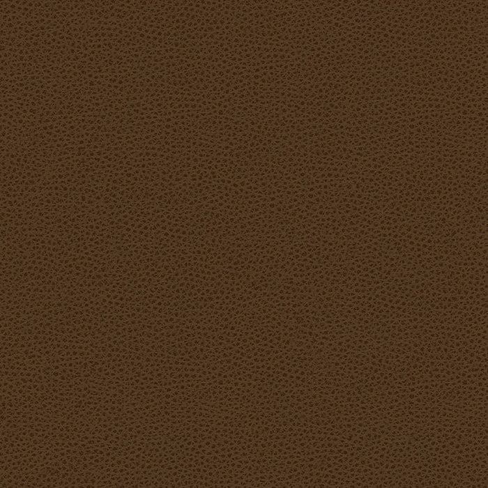 Kravet Contract Bess 6 Fabric Sample BESS.6.0