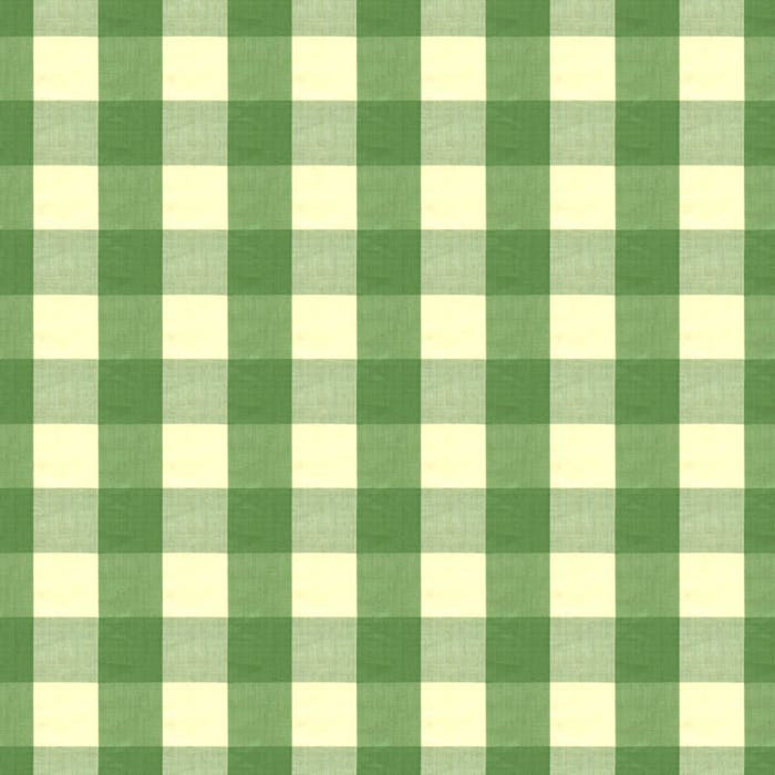 Brunschwig & Fils Exchequer Cotton Check Jade Fabric Sample BR-89725.464.0