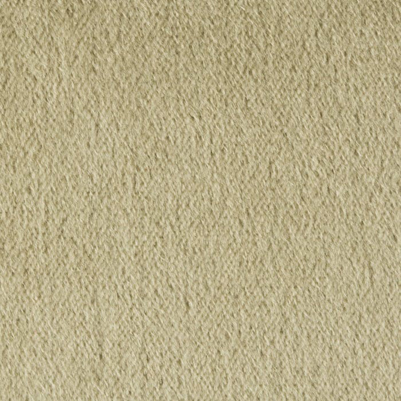 Brunschwig & Fils Autun Mohair Velvet Eucalyptus Fabric Sample BR-89778.311.0