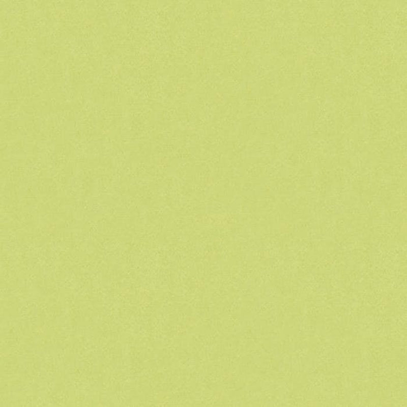 Brunschwig & Fils Autun Mohair Velvet Celery Fabric Sample BR-89778.404.0