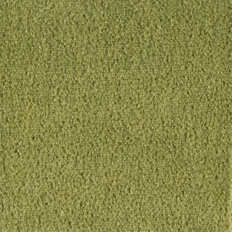 Brunschwig & Fils Autun Mohair Velvet Leaf Fabric Sample BR-89778.432.0