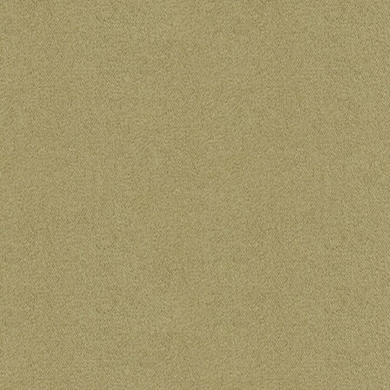 Brunschwig & Fils Autun Mohair Velvet Dove Fabric Sample BR-89778.901.0