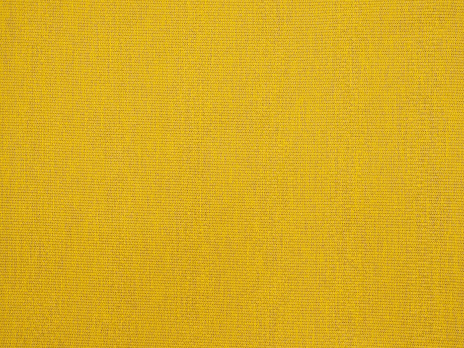 No.9 Thompson Amalfi Wild Daisy Fabric N9012375011