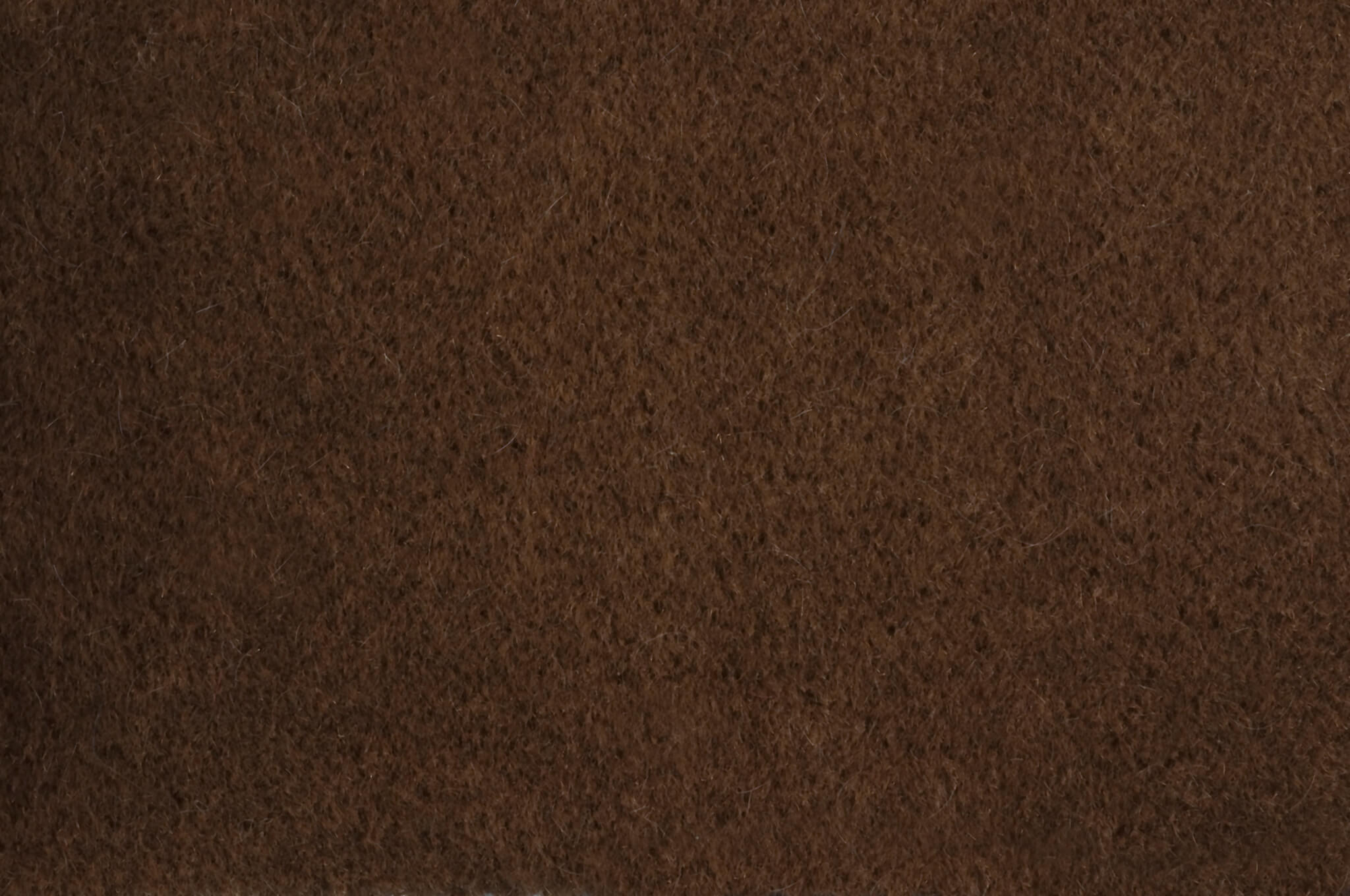 Pierre Frey Teddy Mohair Moka Fabric Sample F2500005