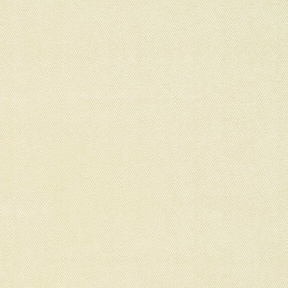 Zimmer + Rohde Amaro 812 Fabric Sample 10563812