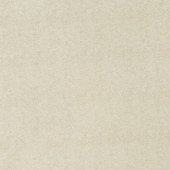 Zimmer + Rohde Amaro 892 Fabric Sample 10563892