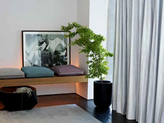 Zimmer + Rohde Pop 668 Fabric 10783668