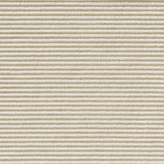 Zimmer + Rohde Infinity Cord 812 Fabric Sample 10839812