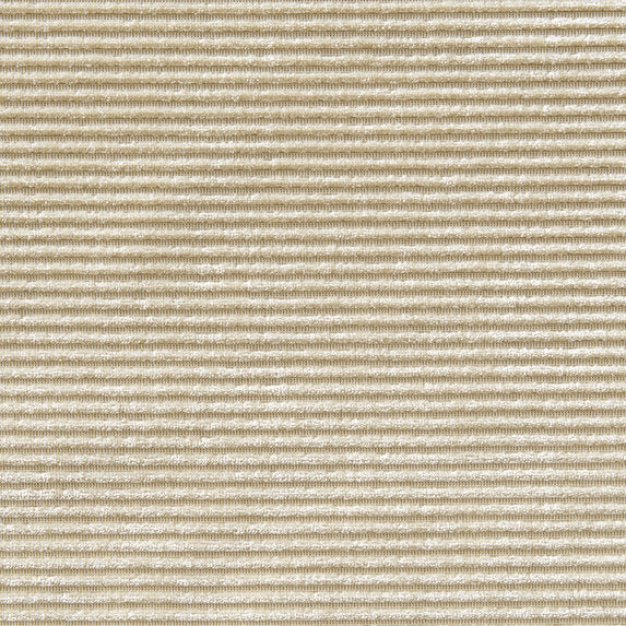 Zimmer + Rohde Infinity Cord 883 Fabric Sample 10839883