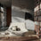 Zimmer + Rohde Nomad RE 910 Fabric 10898910