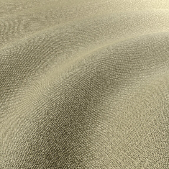 Zimmer + Rohde Perfect Match 795 Fabric 10944795