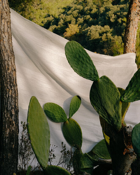 Etamine Terre & Mer 959 Fabric Sample 19591959