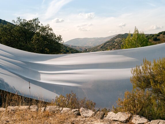 Etamine Pétale de lin 597 Fabric 19597597