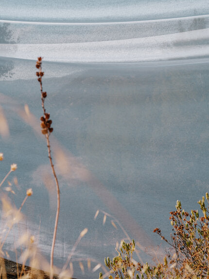 Etamine Pétale de lin 564 Fabric Sample 19597564