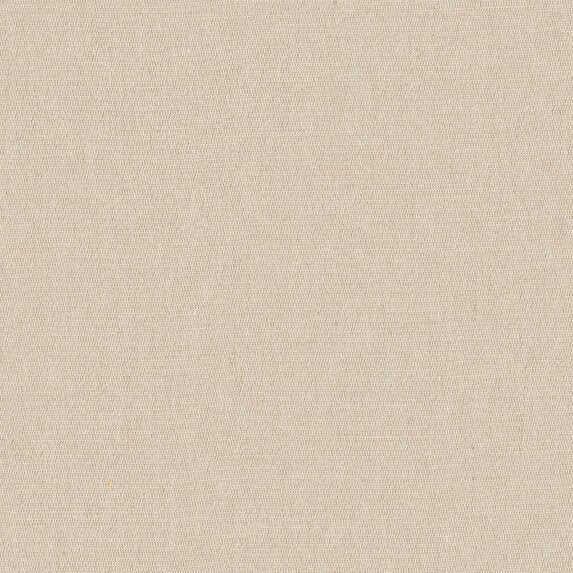 Etamine Rabane RE 880 Fabric Sample 19633880