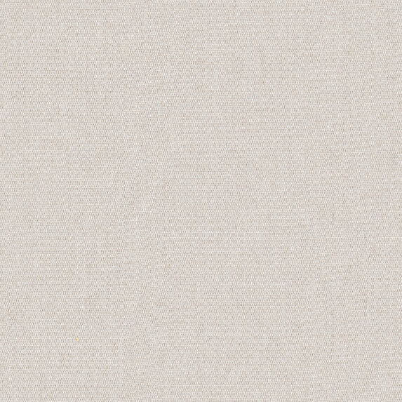 Etamine Rabane RE 881 Fabric Sample 19633881