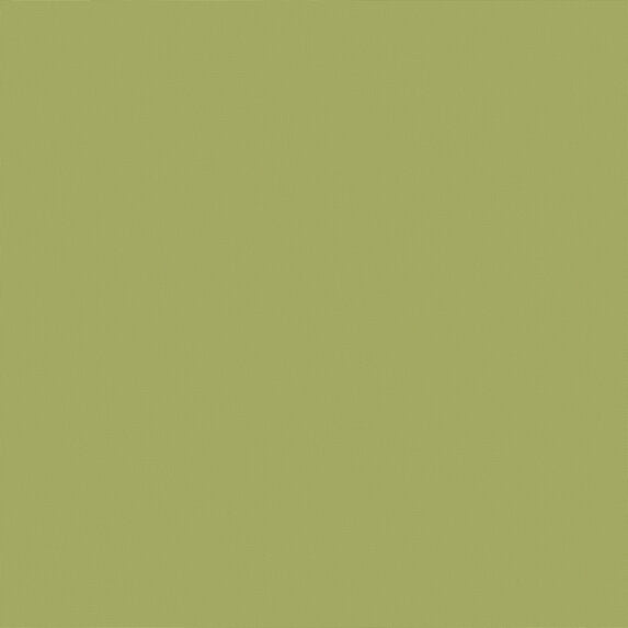 Ado Truffle Taffeta FR RE 434 Fabric Sample 2503434