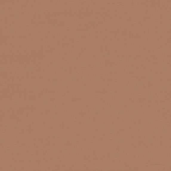 Ado Truffle Taffeta FR RE 545 Fabric Sample 2503545