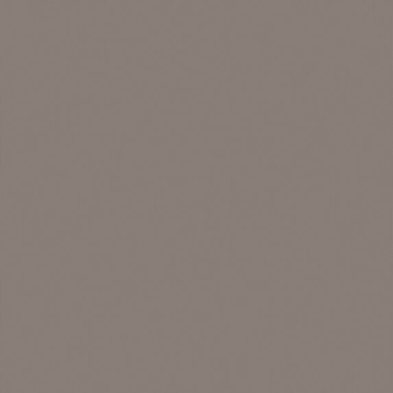 Ado Truffle Taffeta FR RE 795 Fabric Sample 2503795