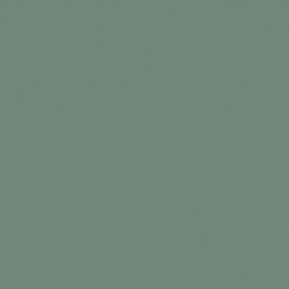 Ado Truffle Taffeta FR RE 884 Fabric Sample 2503884