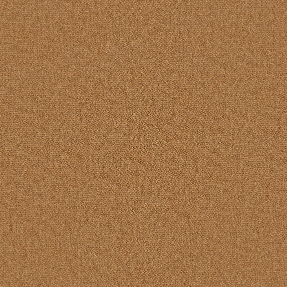 Ado So Biscuit RE 545 Fabric Sample 2602545