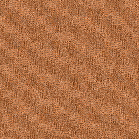 Ado So Biscuit RE 553 Fabric Sample 2602553