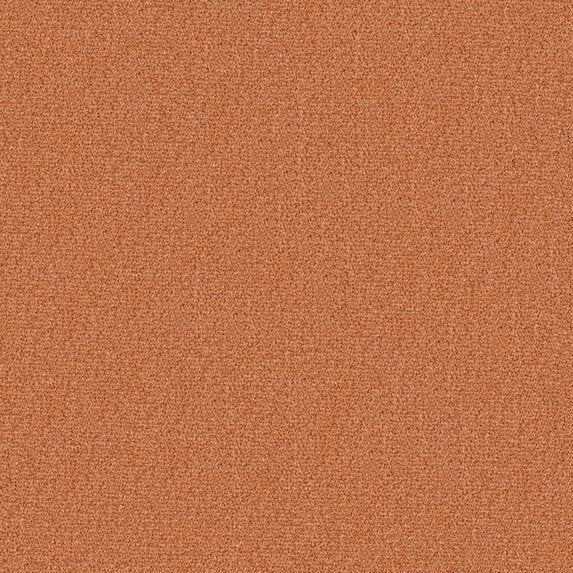 Ado So Biscuit RE 554 Fabric Sample 2602554