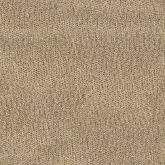 Ado So Biscuit RE 932 Fabric Sample 2602932