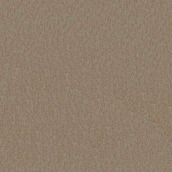 Ado So Biscuit RE 992 Fabric Sample 2602992