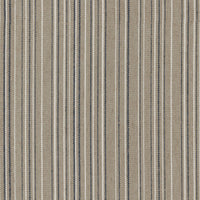Travers Parade Stripe 893 Fabric 44210893