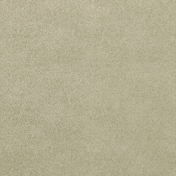 Zimmer + Rohde Glaze 894 Wallpaper Sample 50019894