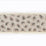 Travers Pardus Velvet 993 Trim Sample 60088993
