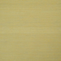 Jim Thompson Aranya Champagne Metallic Fabric JT013929028