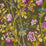 Jim Thompson Summer Peony Java Fabric Sample JT013892003