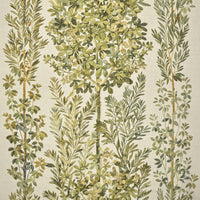 Fadini Borghi Pompei Eleganza Fabric I6650001