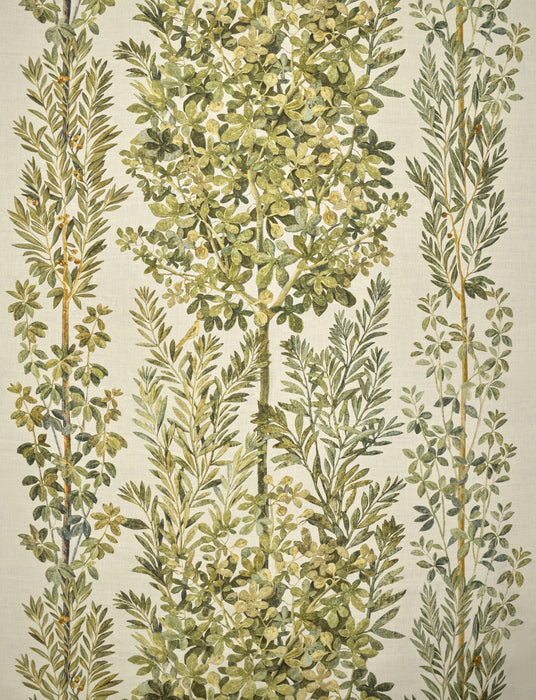 Fadini Borghi Pompei Eleganza Fabric Sample I6650001