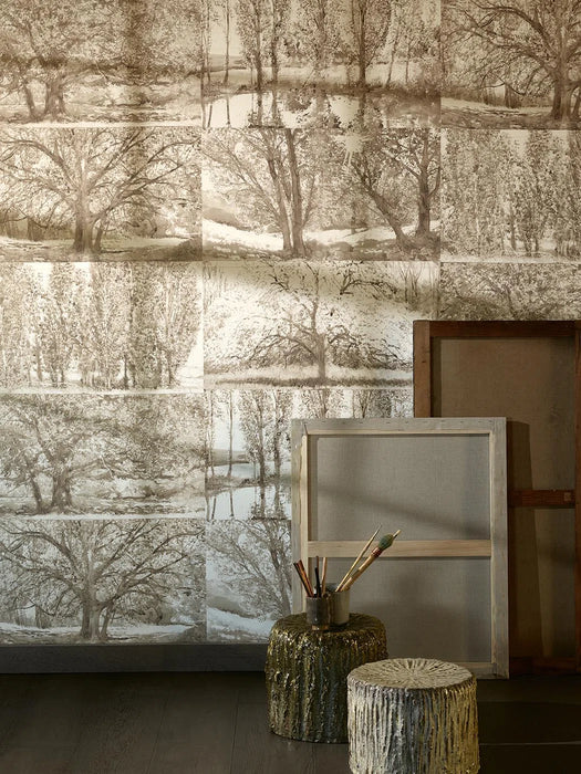 Pierre Frey Arbres Et Sous Bois Bouleau Wallpaper FP235001
