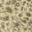 Jim Thompson Wildcat  Oyster Wallpaper Sample JT021070001