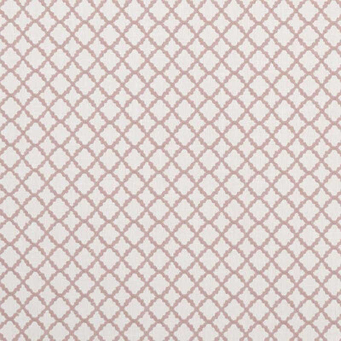 Clarke & Clarke Ariyana Blush Fabric Sample F1364/01.CAC.0