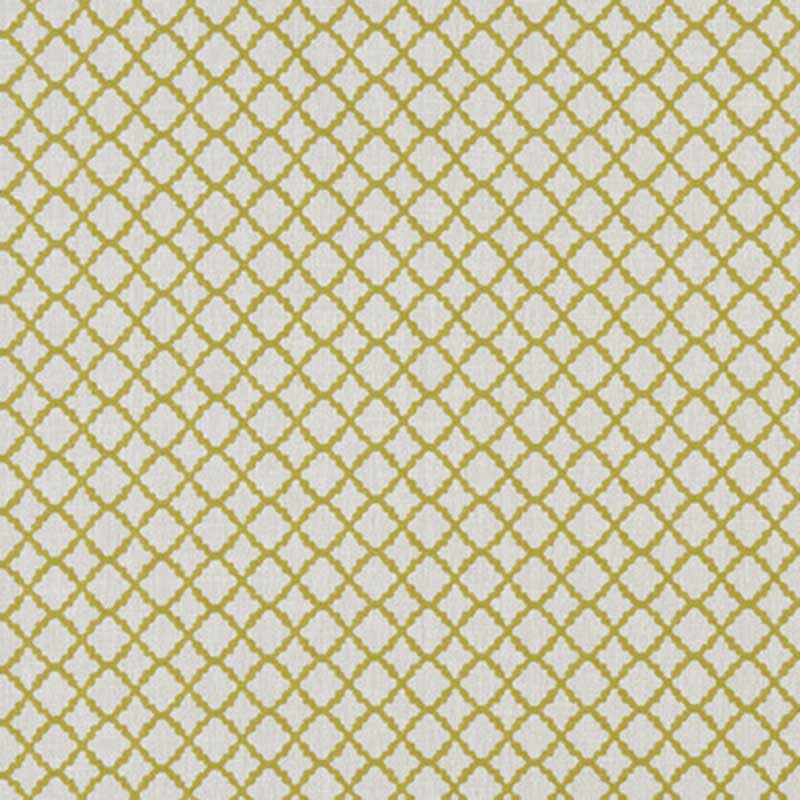 Clarke & Clarke Ariyana Chartreuse Fabric Sample F1364/03.CAC.0
