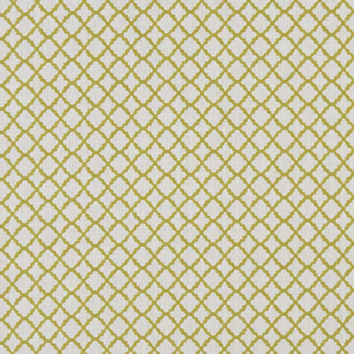 Clarke & Clarke Ariyana Chartreuse Fabric Sample F1364/03.CAC.0