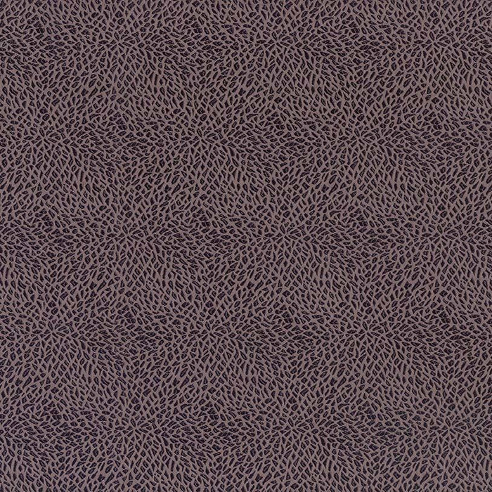 Osborne & Little Macklin 12 Sample Sample F6980-12