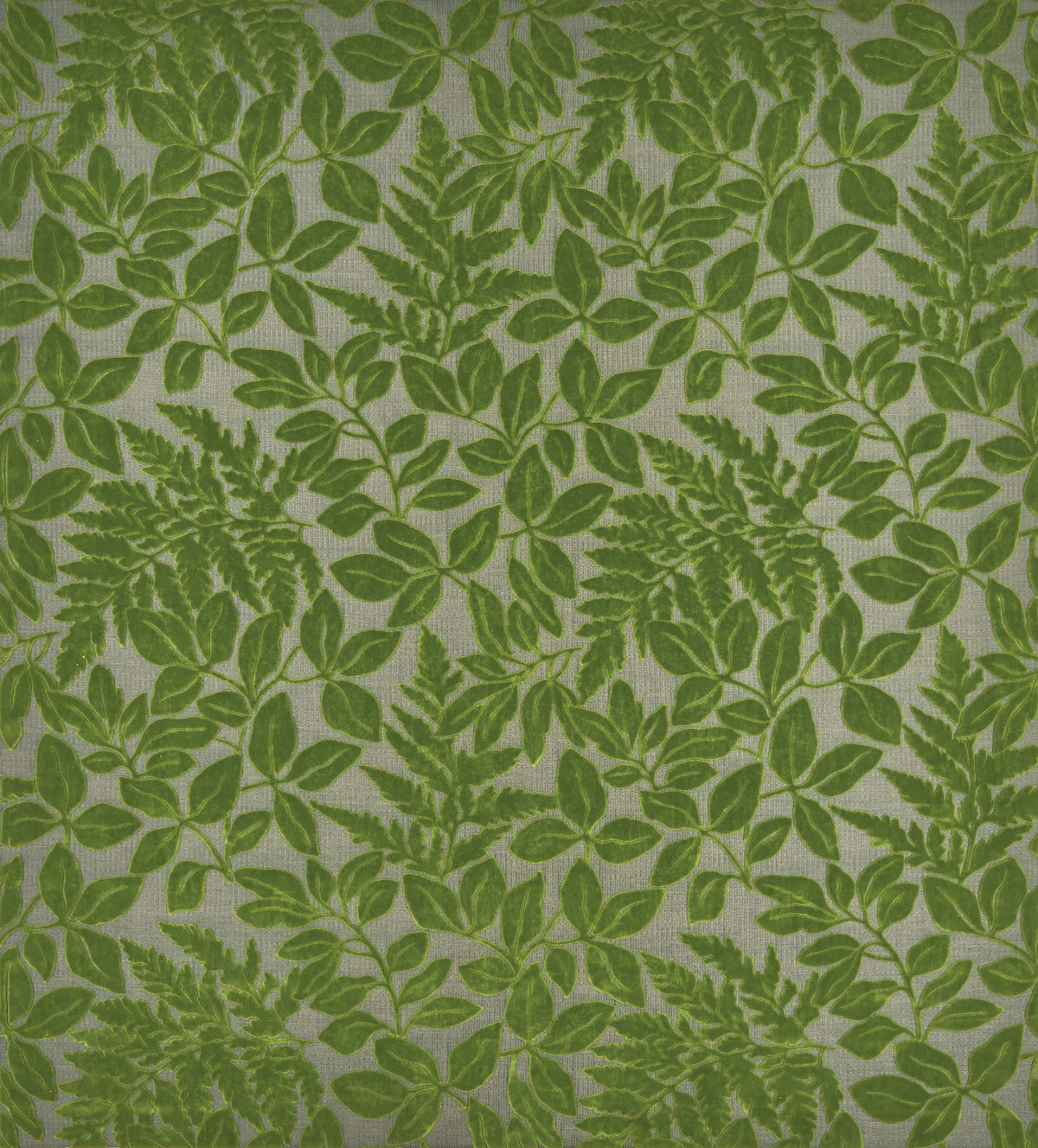 Osborne & Little Donwell 1 F7404-01 Sample | 40% Off (Samples)